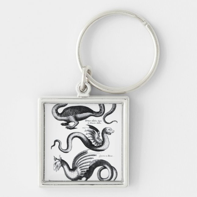 Four types of dragon key ring (Front)