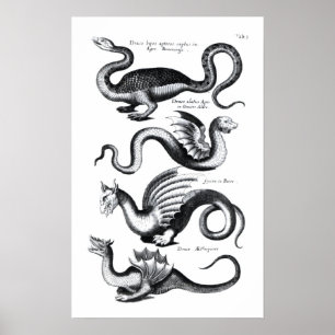Four types of dragon poster