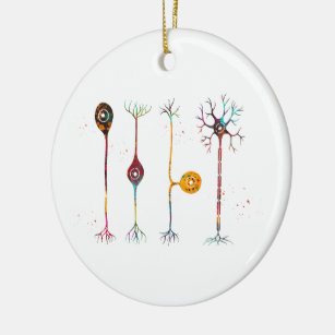 Four types of neurons ceramic tree decoration