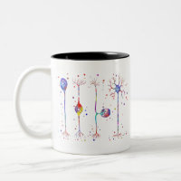 Four types of neurons