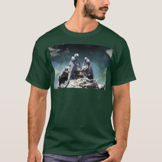 Four Water Iguanas on the Galapagos Islands T-Shirt