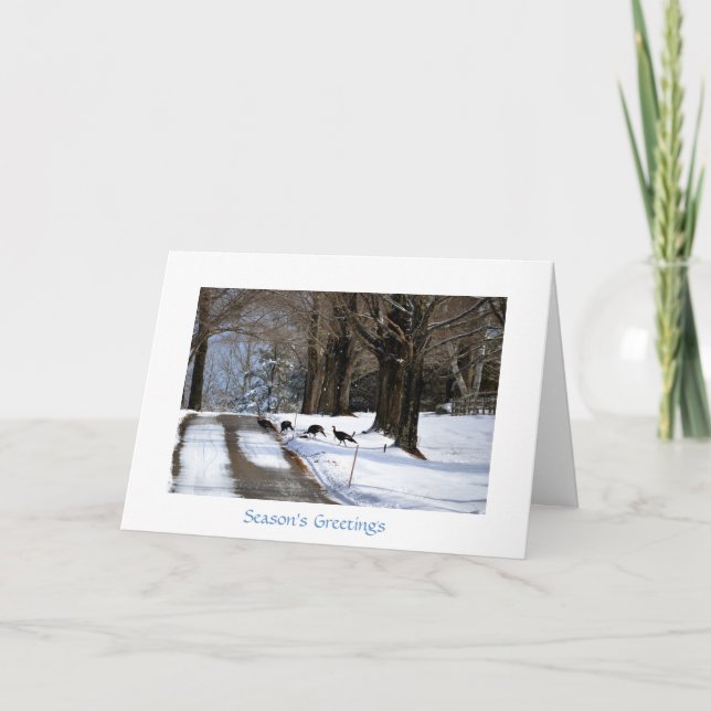 Four Wild Turkeys - Holiday Card (Front)