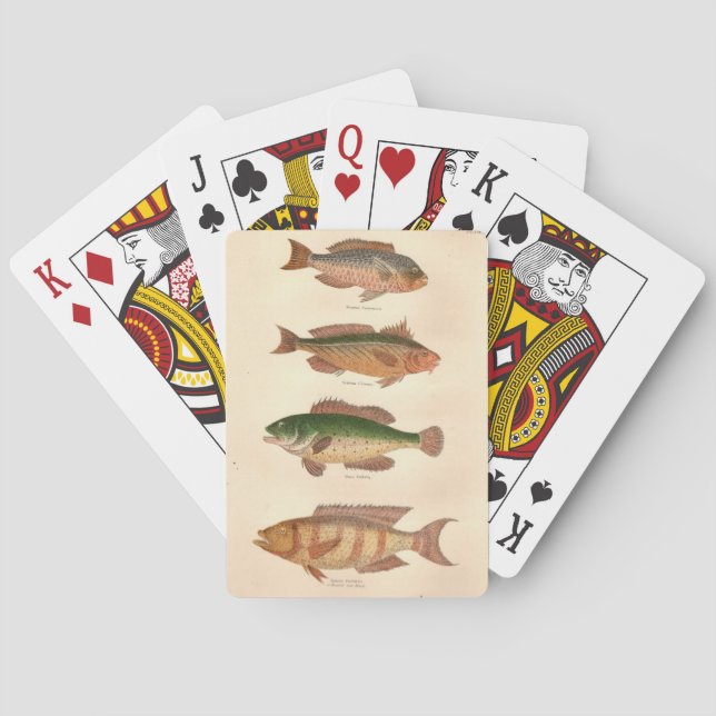 FourFish Playing Cards (Back)