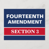 Fourteenth Amendment Section 3 Constitution