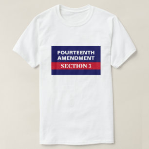 Fourteenth Amendment Section 3 Constitution T-Shirt