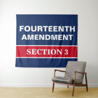 Fourteenth Amendment Section 3 Constitution