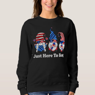 Fourth Of July 4th Of July I'm Just Here To Bang 4 Sweatshirt