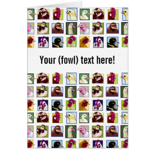 Fowl birds: Fowls (chicken, duck, goose, turkey)
