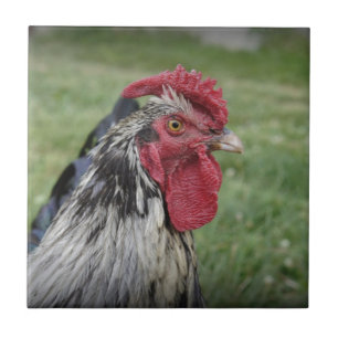 Fowl Face Tile