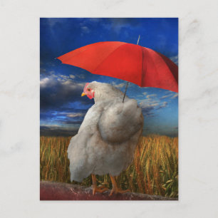 Fowl Weather - Predicting Rain Postcard