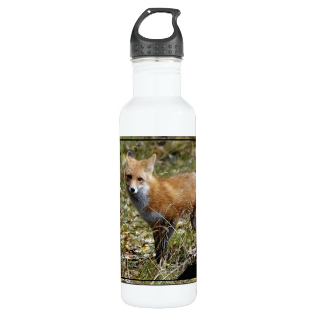 Fox 710 Ml Water Bottle (Front)