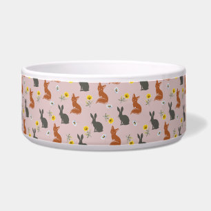 Fox and the Rabbit