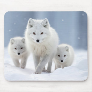 Fox Animal Family Wandering Nature Out Mouse Mat