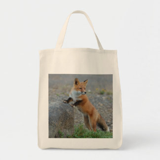 fox bag, fox tote, fox shopper, wildlife gifts tote bag