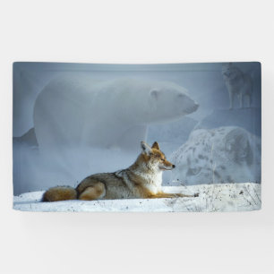 Fox Banner
