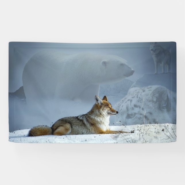 Fox Banner (Horizontal)