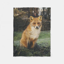 fox blanket, foxy throw, fox cub throw blanket