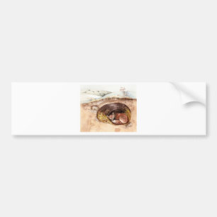 Fox Borrow Bumper Sticker