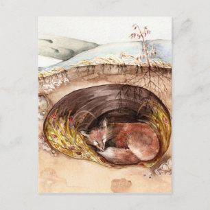 Fox Borrow Postcard