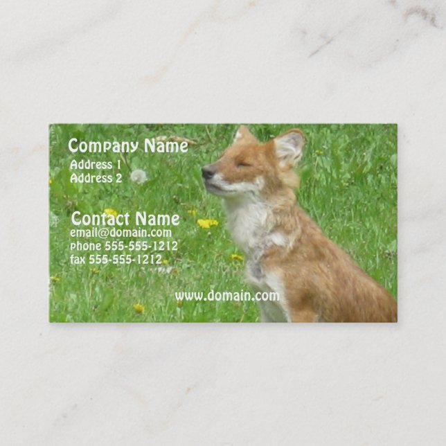 Fox Business Card (Front)