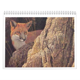 Fox Calendar 2010
