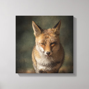 Fox Canvas Print