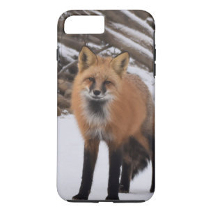 Fox iPhone 8 Plus/7 Plus Case