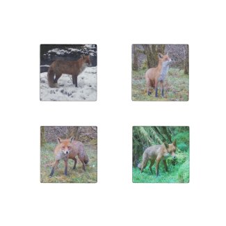 Fox Collection Stone Magnet