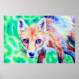 Fox coloured pencil drawing poster