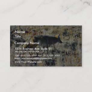 Fox Coyotes Wild Anilmal In Field Business Card