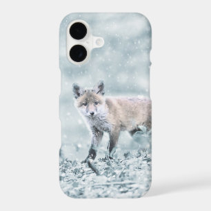 Fox Cub in the Snow
