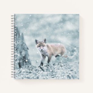 Fox Cub in the Snow Notebook