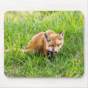Fox Cub Mouse Mat