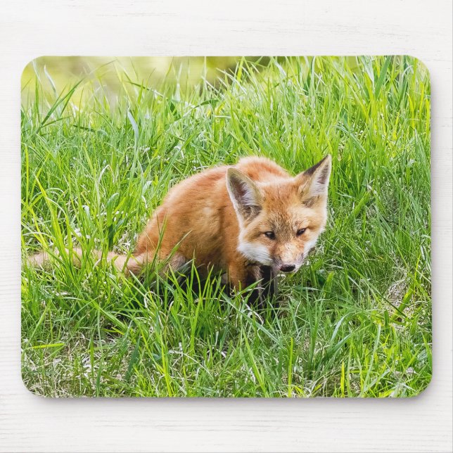 Fox Cub Mouse Mat (Front)