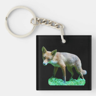 Fox Cub On Mossy Grass Woodland Wildlife Nature Key Ring