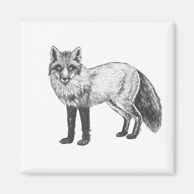 Fox drawing magnet (Front)