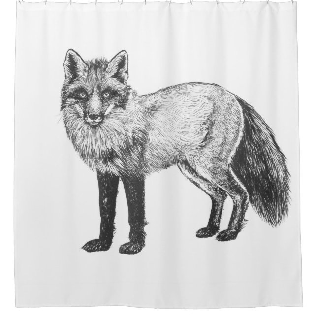 Fox drawing shower curtain (Front)