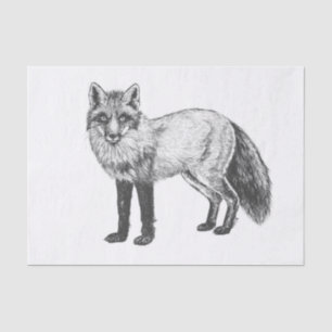 Fox drawing tissue paper