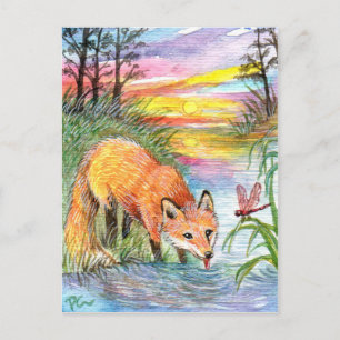 Fox Drinking by Riverside Postcard