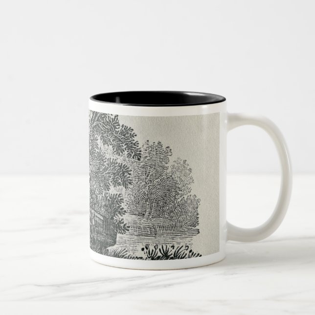 Fox escaping,'The General History of Two-Tone Coffee Mug (Right)