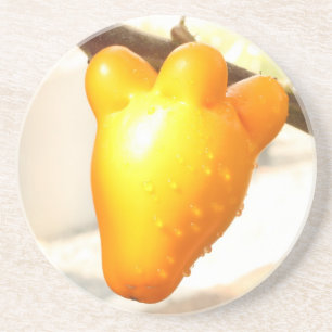 Fox Face Fruit Coaster