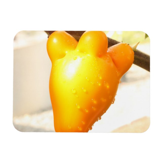 Fox Face Fruit Magnet (Horizontal)