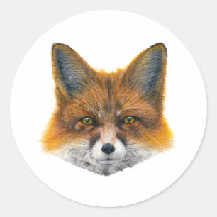 Fox face - Painting in acrylic Classic Round Sticker