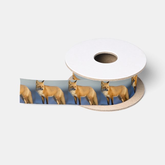 Fox gift wrapping, winter fox satin ribbon (Spool)