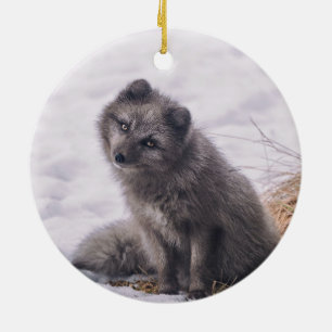 Fox Gray Snow Photo Ceramic Tree Decoration