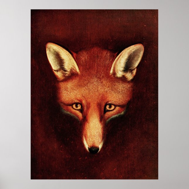 Fox Head Vintage Print Antique Animal Illustration (Front)