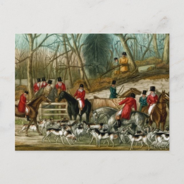 Fox Hunting 1 Postcard (Front)
