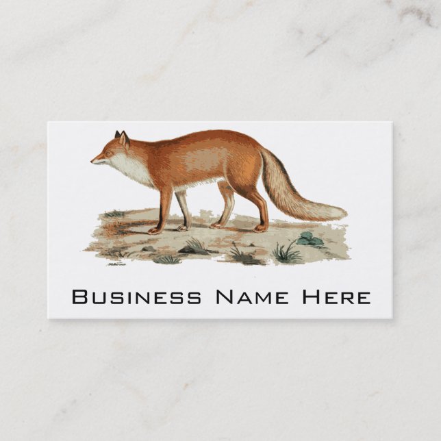 Fox Illustration Business Card (Front)