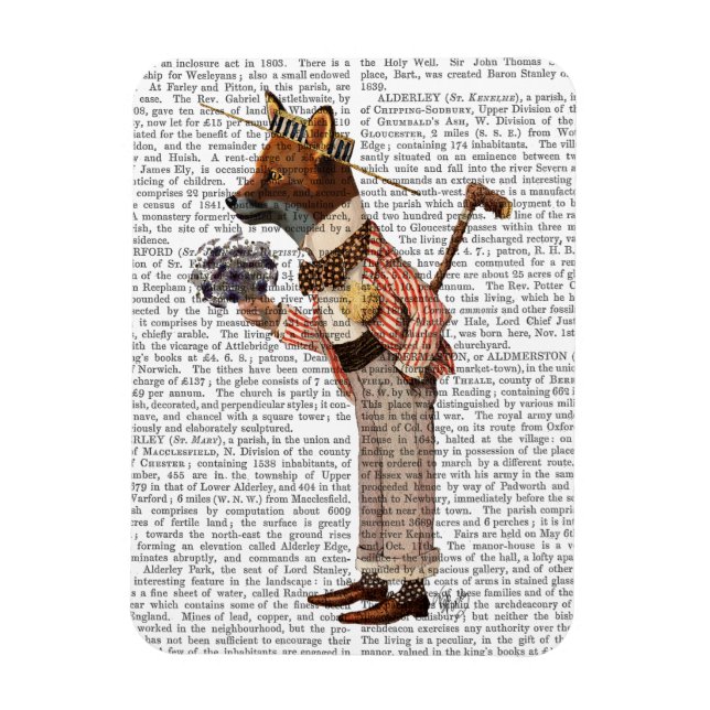 Fox in Boater Magnet (Vertical)