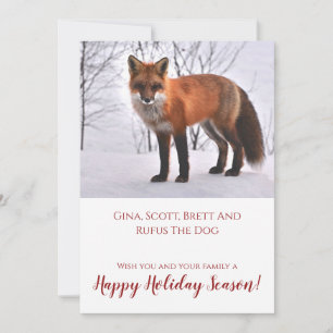 Fox In Snow Nature Christmas Holiday Card